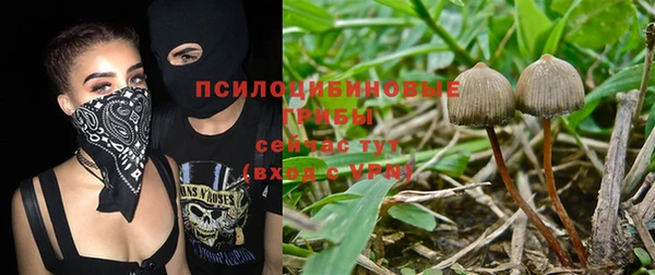 MDMA Краснослободск