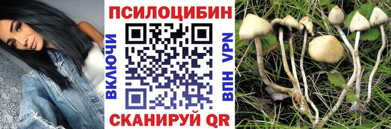 Псилоцибиновые грибы Magic Shrooms  Туран 